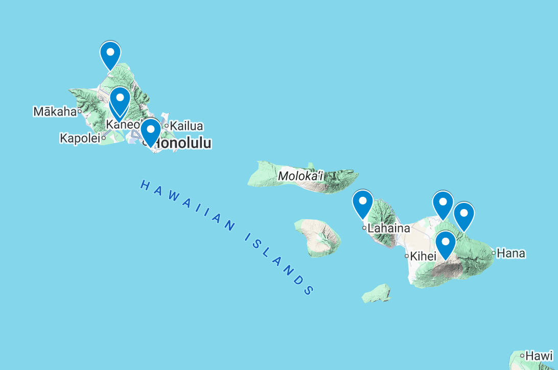 Global trip map