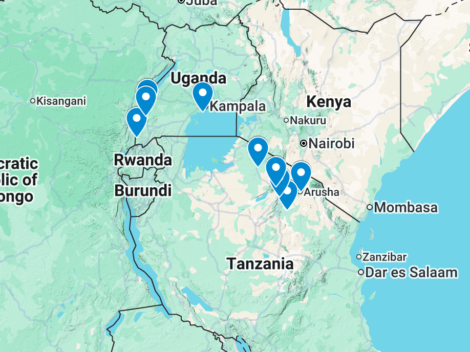Global trip map